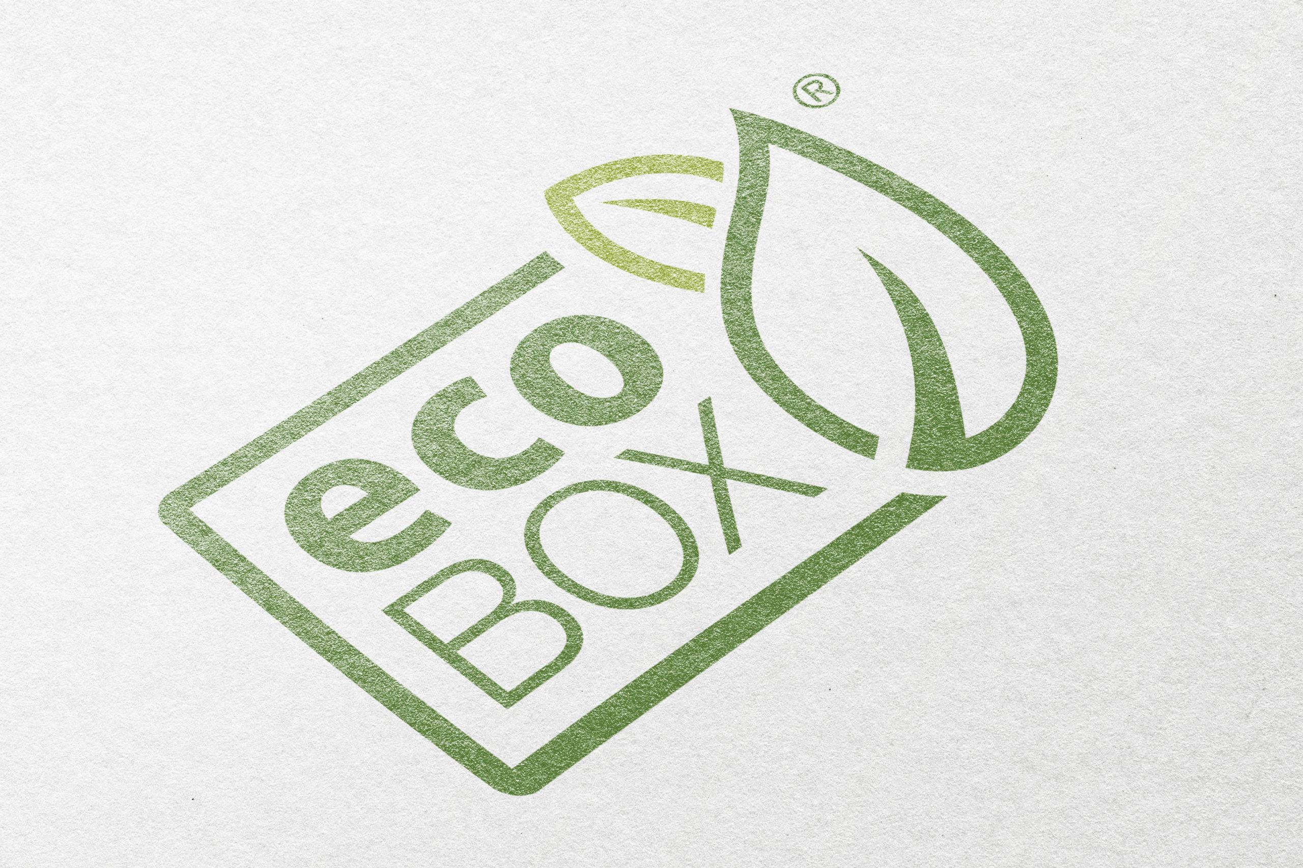Grünes Logo von ecoBOX
